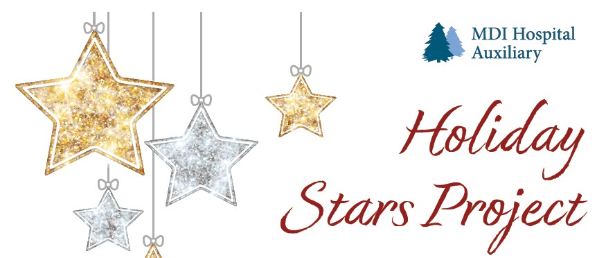 holiday stars header